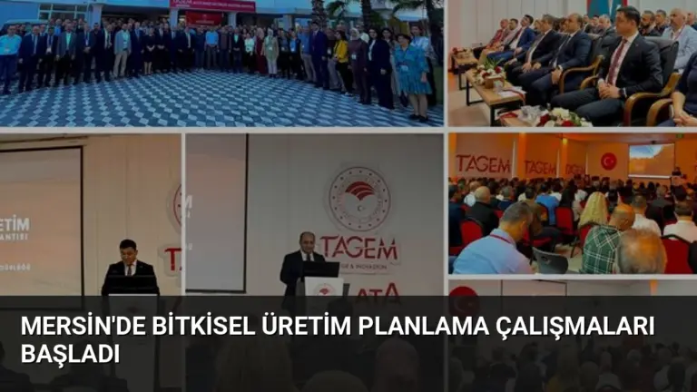 Mersin’de Bitkisel Üretim Planlama Çalışmaları Başladı