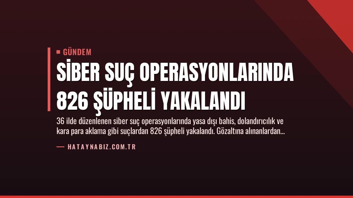 Siber Suç Operasyonlarında 826 Şüpheli Yakalandı